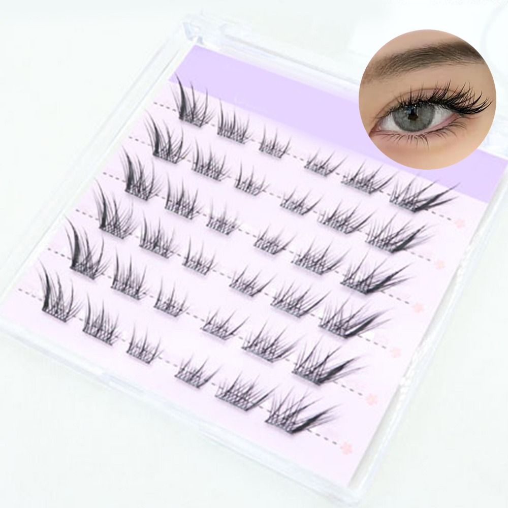 جديد ثلاثية الأبعاد عين القط ر - مراجعة Eyelash Extension Cat Eye Wispy وسعره